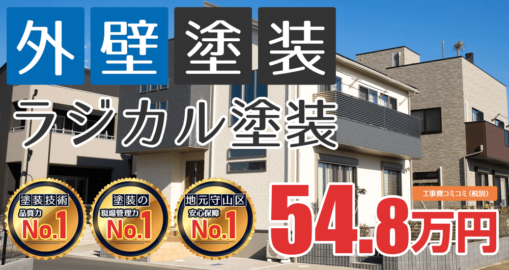フッ素塗装プラン塗装 54.80万円（税込60.28万円）