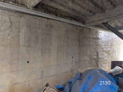 名古屋 守山区　ツタ処理♤